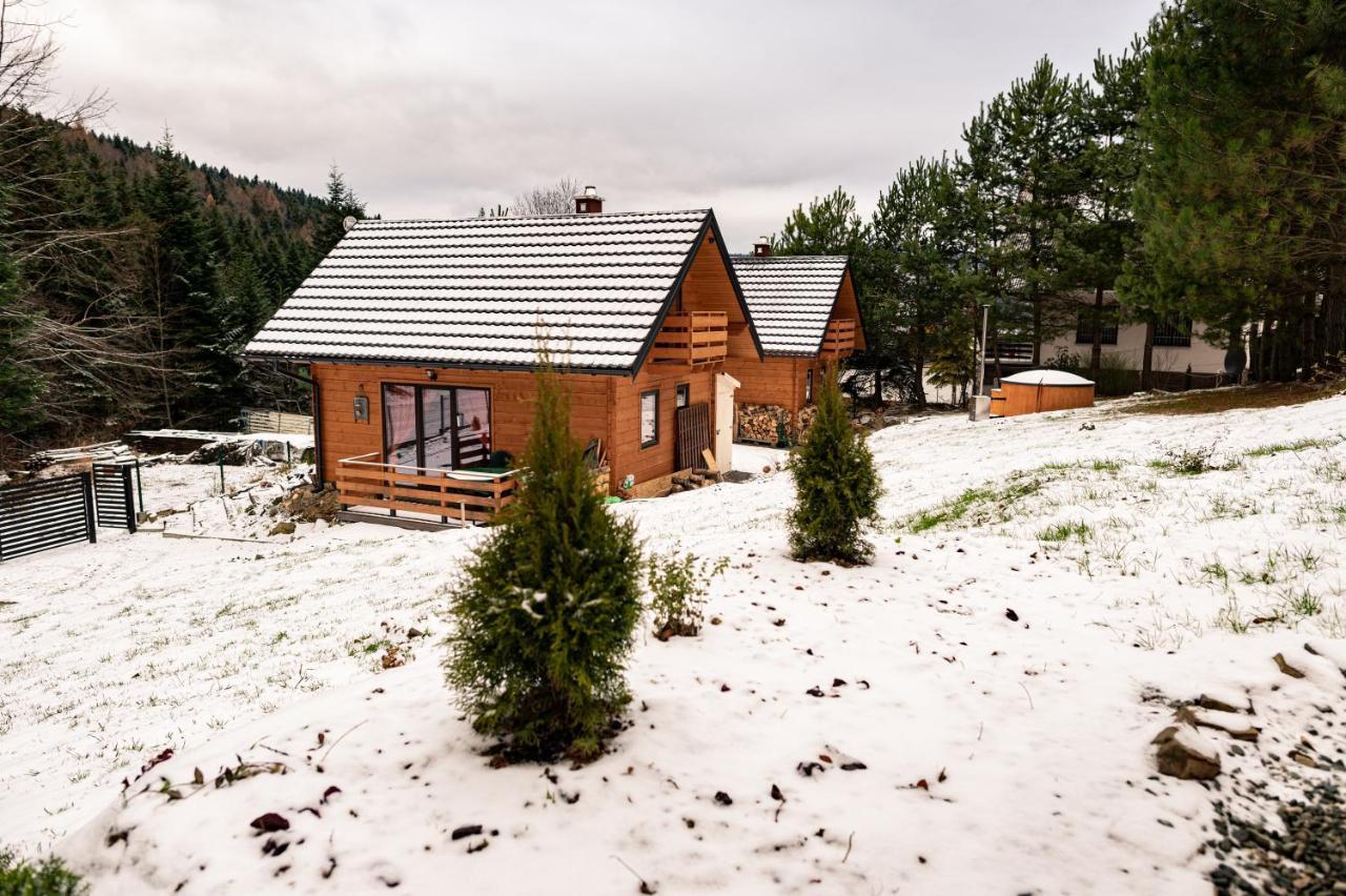 Villa Domki Na Mosornym à Zawoja Extérieur photo